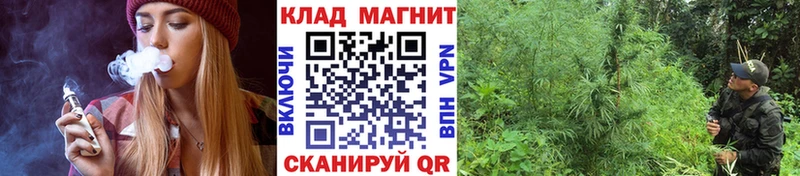 Купить наркотик Плавск Бошки Шишки Cocaine А ПВП ГАШ